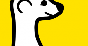 meerkat-300x156  